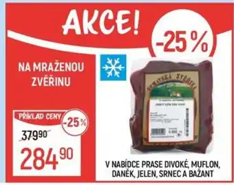 Globus Na mraženou zvěřinu nabídka