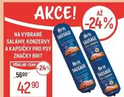 Globus Na vybrané salámy, konzervy a kapsičky pro psy značky brit nabídka