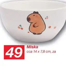 Kik Miska nabídka