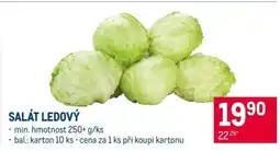 Makro Salát ledový nabídka