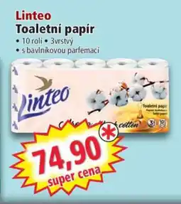 Norma Linteo nabídka