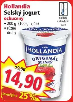 Norma Hollandia Selský jogurt ochucený nabídka