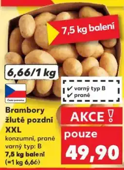 Kaufland Brambory žluté pozdní XXL nabídka