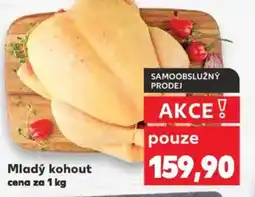Kaufland Mladý kohout nabídka