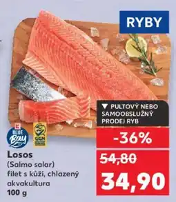 Kaufland Losos nabídka