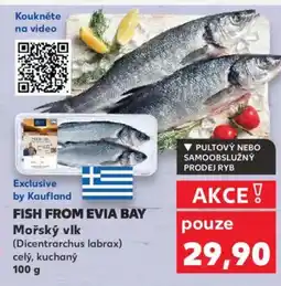Kaufland Fish From Evia Bay Mořský vlk nabídka