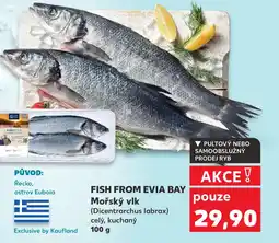Kaufland Fish From Evia Bay Mořský vlk nabídka