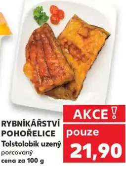 Kaufland RYBNÍKÁŘSTVÍ POHOŘELICE Tolstolobik uzený nabídka