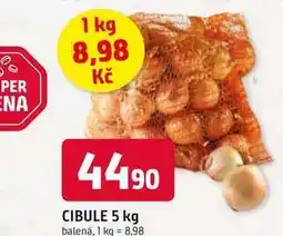 Trefa CIBULE 5 kg balená nabídka
