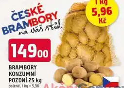 Trefa BRAMBORY KONZUMNÍ POZDNÍ 25 kg balené nabídka