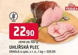 Trefa UHLÍŘSKÁ PLEC VÁHALA 100g nabídka
