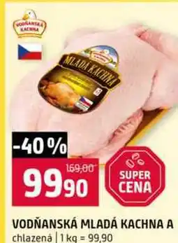 Terno VODŇANSKÁ MLADÁ KACHNA A 1 kg nabídka