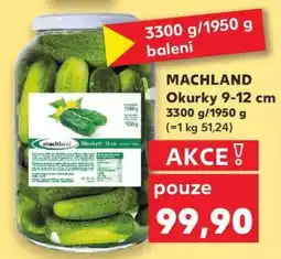 Kaufland Machland Okurky 9–12 cm nabídka