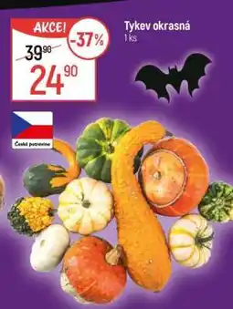 Globus Tykve okrasná nabídka