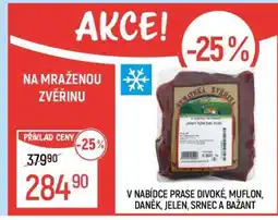 Globus Mražená zvěřina nabídka