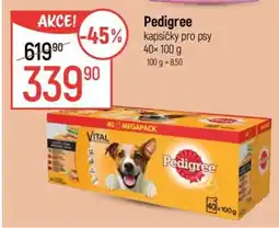 Globus Pedigree kapsičky pro psy 40x100 g nabídka