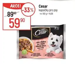 Globus CESAR KAPSIČKY PRO PSY nabídka