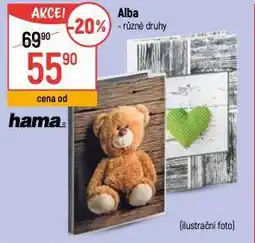 Globus Alba nabídka