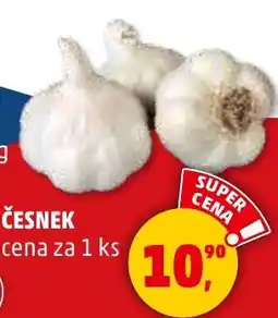 Penny Market Česnek nabídka