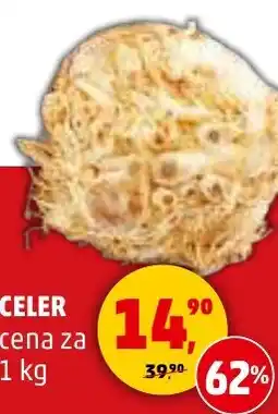 Penny Market Celer nabídka