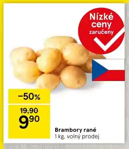 Tesco Brambory rané nabídka