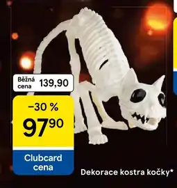 Tesco Dekorace kostra kočky nabídka