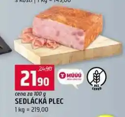 Terno SEDLÁCKÁ PLEC 100 g nabídka