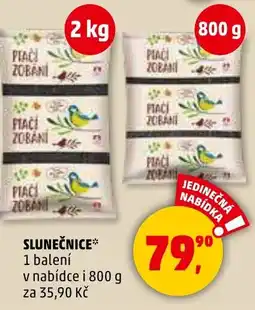 Penny Market Slunečnice nabídka