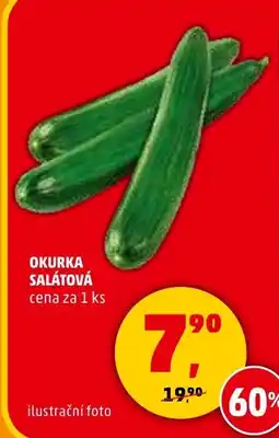 Penny Market Okurka salátová nabídka