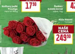 Billa Růže Naomi 1 svazek nabídka