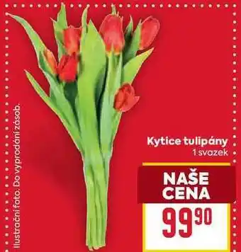 Billa Kytice tulipány 1 svazek nabídka
