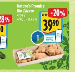 Albert Nature's Promise Bio Zázvor 150 g nabídka