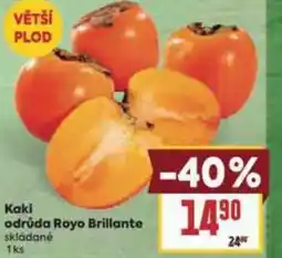 Billa Kaki odrůda Royo Brillante nabídka