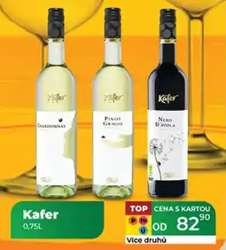 Tamda Foods Kafer nabídka