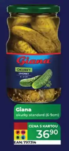 Tamda Foods Giana okurky standard (6-9cm) nabídka