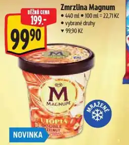 Albert Zmrzlina Magnum nabídka