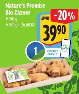 Albert Nature's Promise Blo Zázvor nabídka