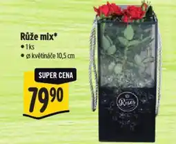 Albert Růže mix nabídka