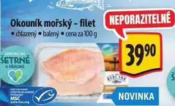Albert Okouník mořský-filet nabídka