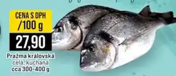 Jip Pražma královská nabídka