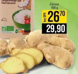 Jip Zázvor nabídka