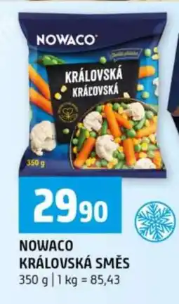 Terno NOWACO KRÁLOVSKÁ SMĚS nabídka