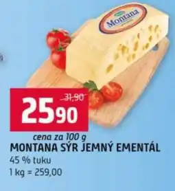 Terno MONTANA SÝR JEMNÝ EMENTÁL nabídka