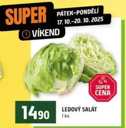 Terno Ledový salát nabídka