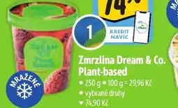 Albert Zmrzlina Dream & Co. Plant-based nabídka