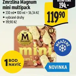 Albert Zmrzlina Magnum mini multipack nabídka