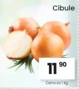 Kubík potraviny Cibule nabídka