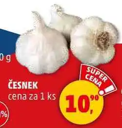 Penny Market Česnek, 1 ks nabídka