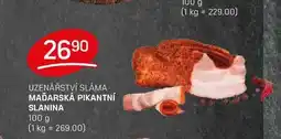 Flop MAĎARSKÁ PIKANTNÍ SLANINA 100 g nabídka