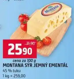 Terno Montana sýr jemný ementál 100 g nabídka